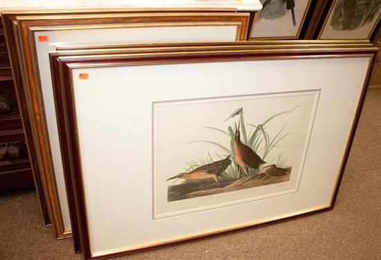 Appraisal: Five ornithological prints after J J Audubon framed Estimate -