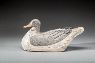 Appraisal: Gull Quebec Canada c A confidence decoy with carved eyes