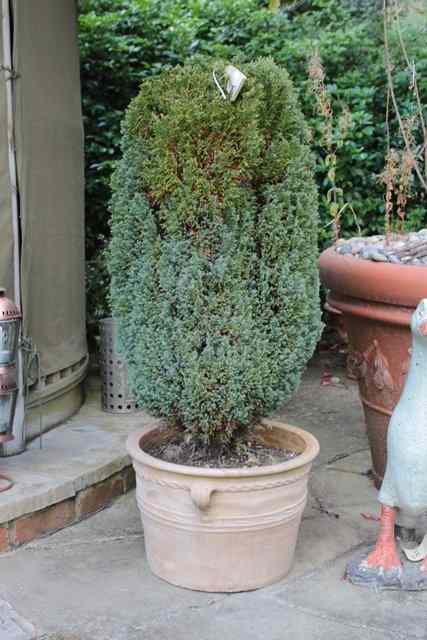 Appraisal: A TERRACOTTA PLANTER with ribbed decoration high together with a