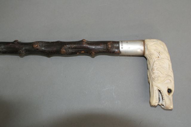 Appraisal: A Brier walking stick with well made dog's head handle