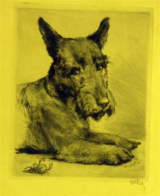 Appraisal: TWO ETCHINGS of dogs and a quantity of other prints