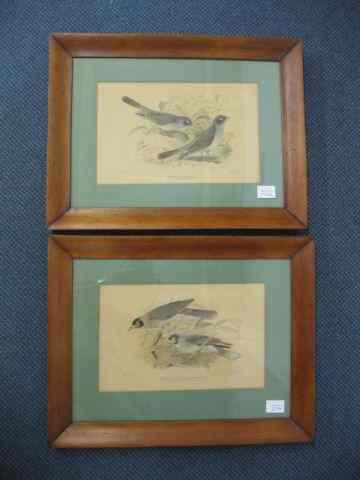 Appraisal: Pair of Handcolored Bird Engravings by H Gronvold published by