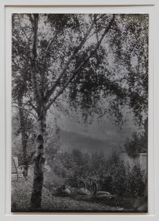 Appraisal: Photograph Gertrude Kasebier Gertrude Kasebier American - Rodin's Garden gelatin