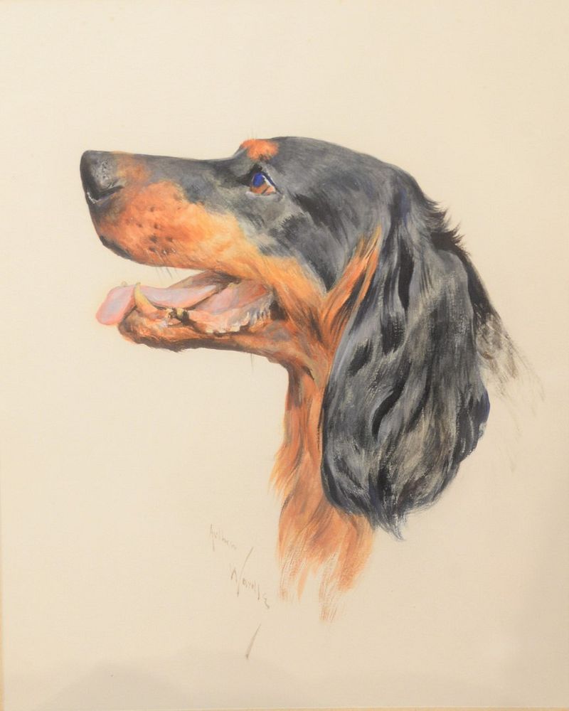 Appraisal: Arthur Wardle British - Head of Gordon Setter watercolor on