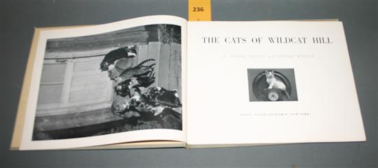 Appraisal: Photography Cats Charis Wilson and Edward Weston The Cats of