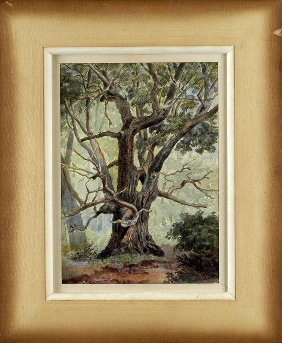 Appraisal: th C School Forest with Tree Watercolor on paper signed