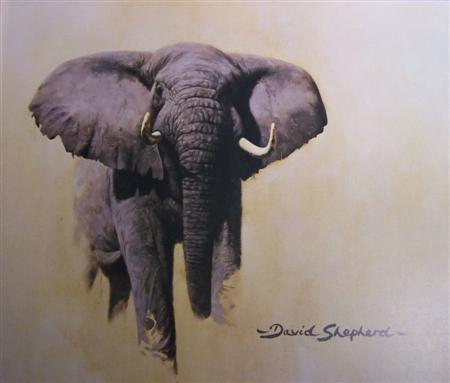 Appraisal: Shepherd David Paintings of Africa and India London Tryon Gallery