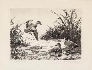 Appraisal: Aiden Lassell Ripley - American Wigeon Federal Duck Stamp Designsigned