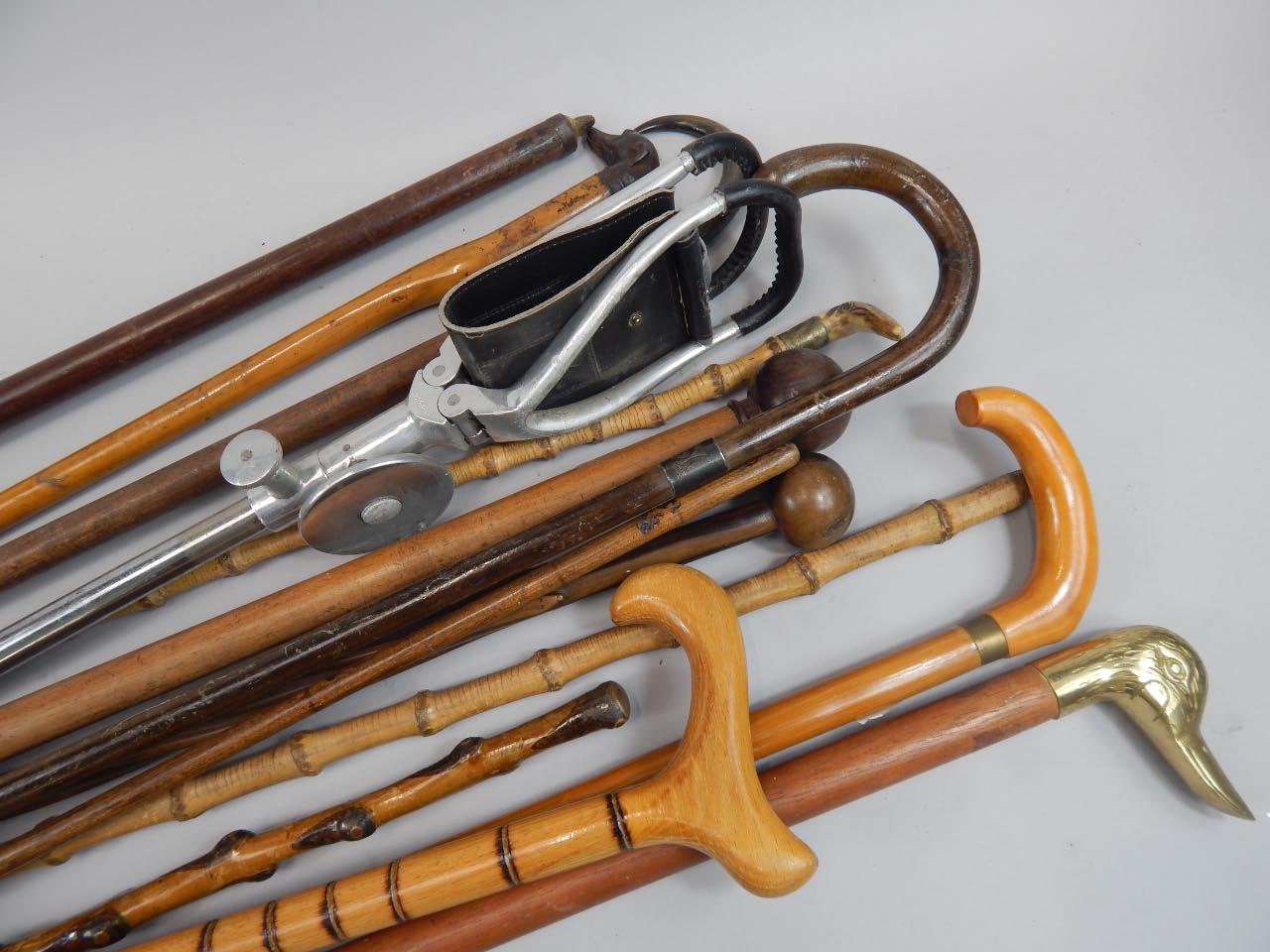 Appraisal: Various walking sticks to include one with a greyhound metal