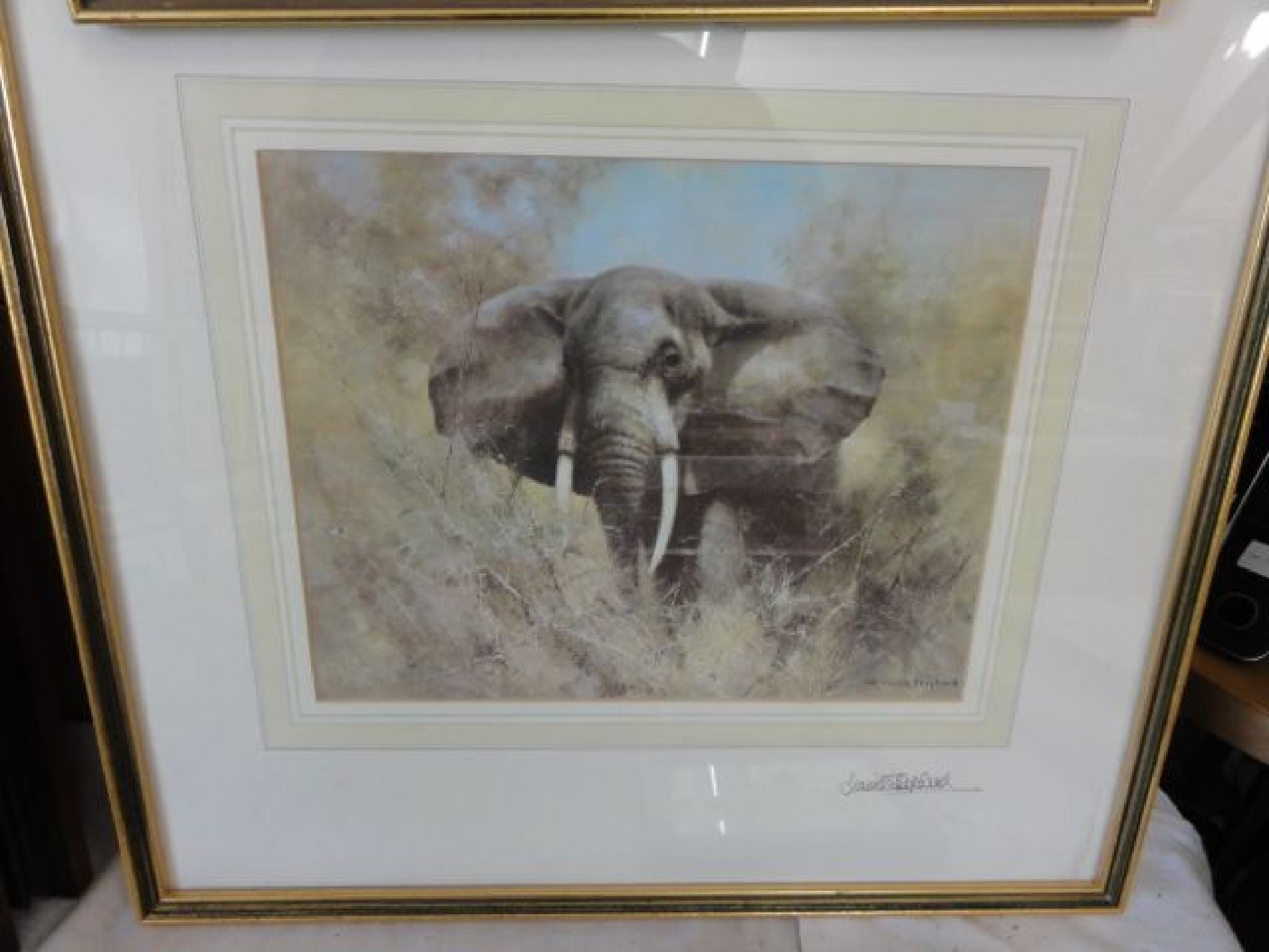 Appraisal: A signed coloured print after David Shepherd showing an elephant