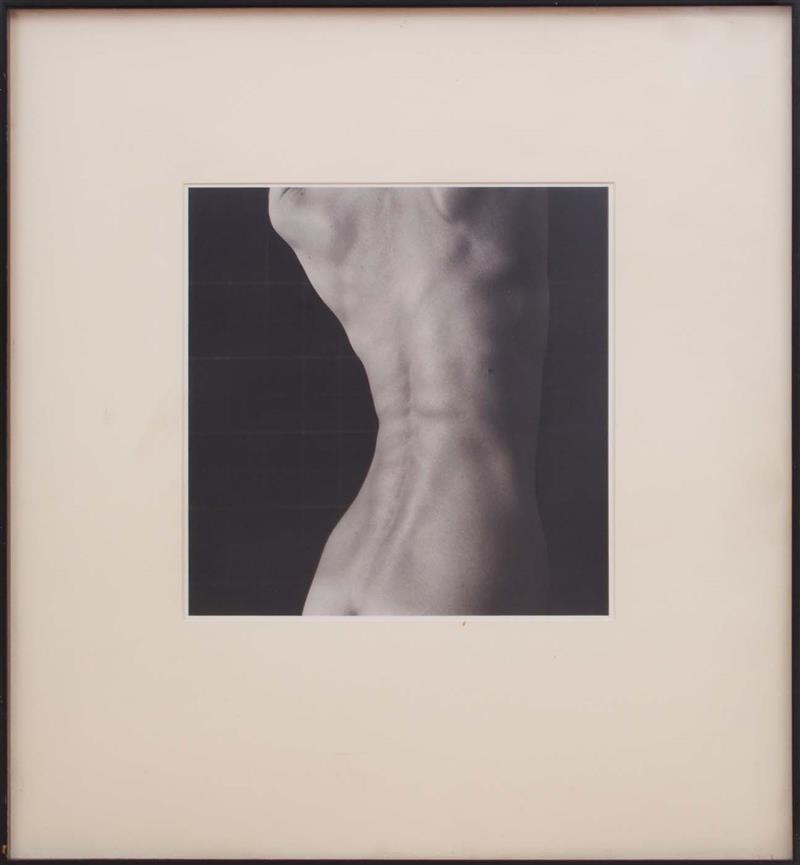 Appraisal: RON COOPER b FEMALE TORSO WITH PORES Gelatin silver print