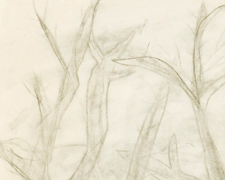 Appraisal: James Montgomery Cant - Trees charcoal on paper signed 'Cant'