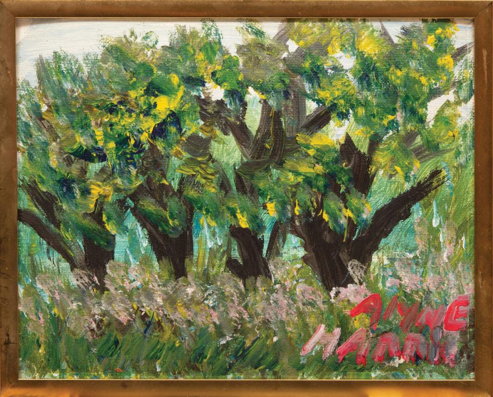 Appraisal: Alyne Harris American Florida b Landscape with Trees and Flowers