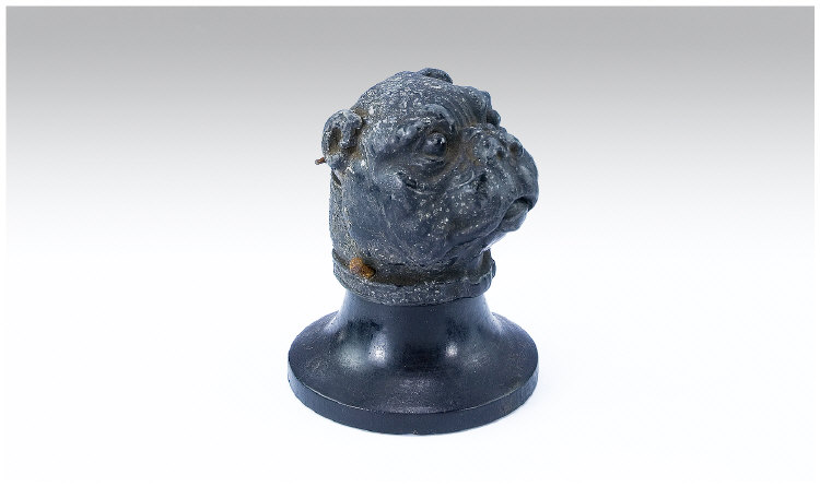 Appraisal: Old English Bulldog Head on Wood Base Opens up for