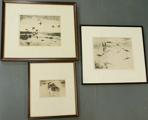 Appraisal: Three ornithological prints each pencil signed Frank W Benson all