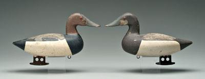 Appraisal: Two canvasback duck decoys applied glass eyes drake with extensive