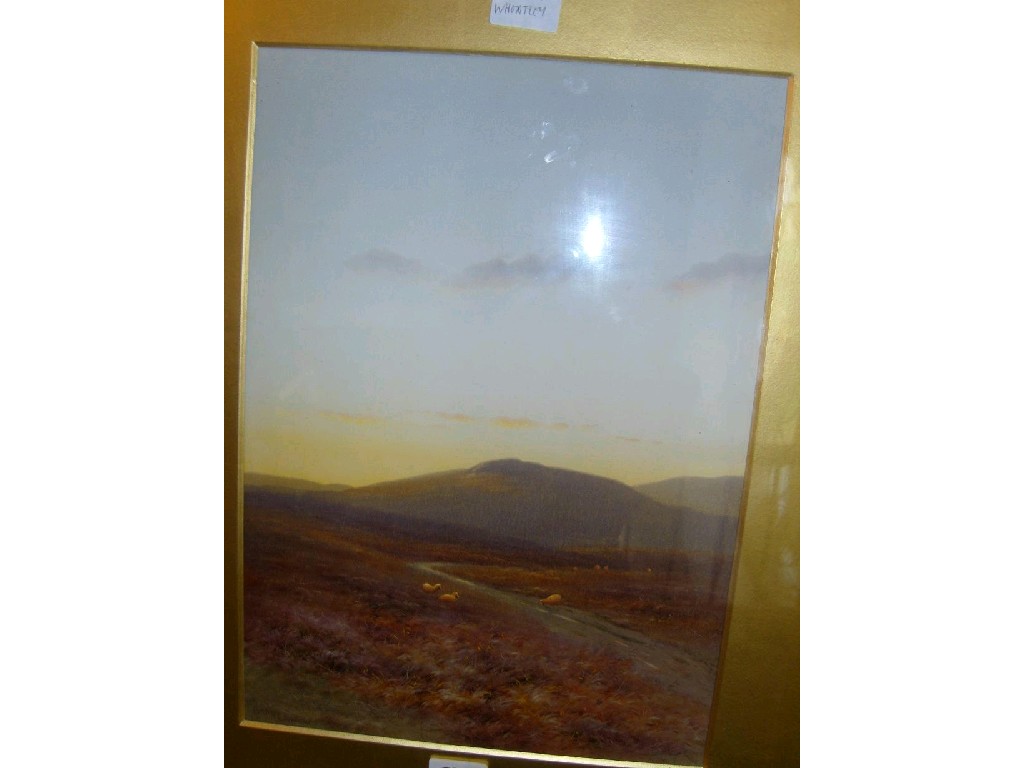 Appraisal: An early th century watercolour study of a moorland scene