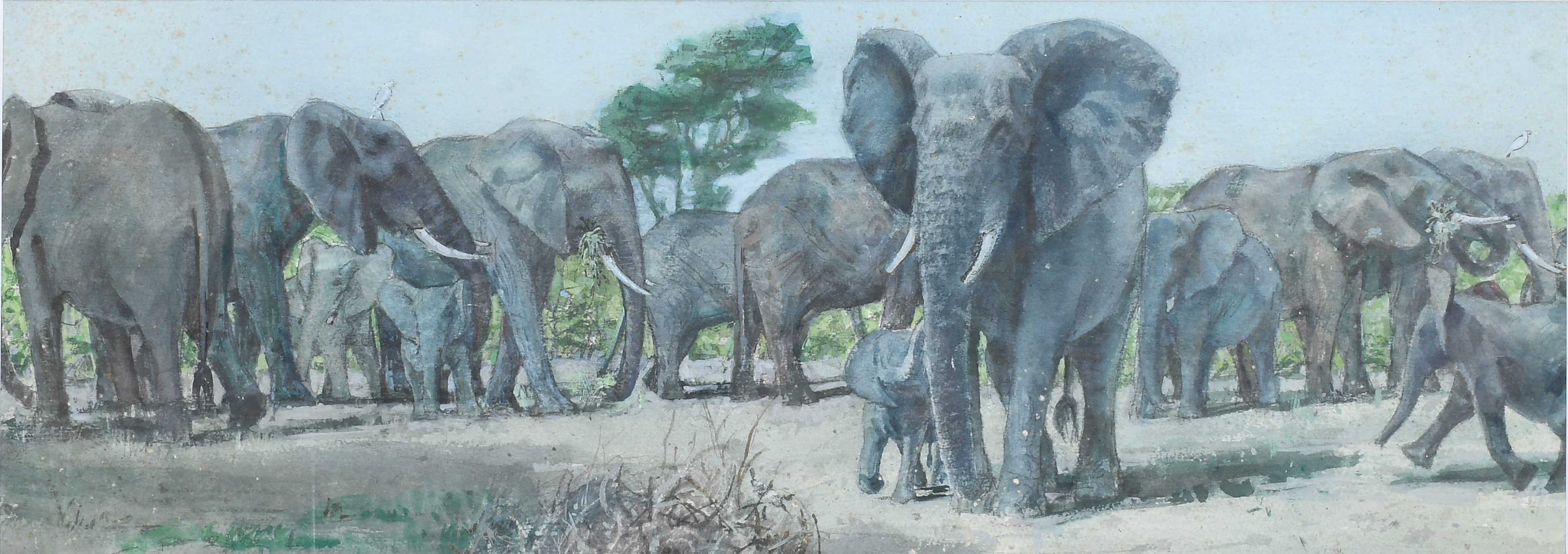 Appraisal: PROUT George Morton American - Herd of Elephants at the