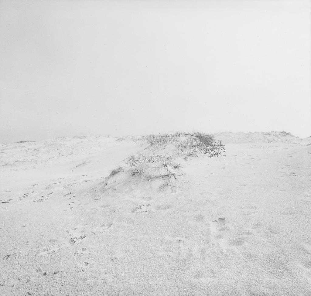 Appraisal: HARRY CALLAHAN - Cape Cod Horseneck Beach Silver print x