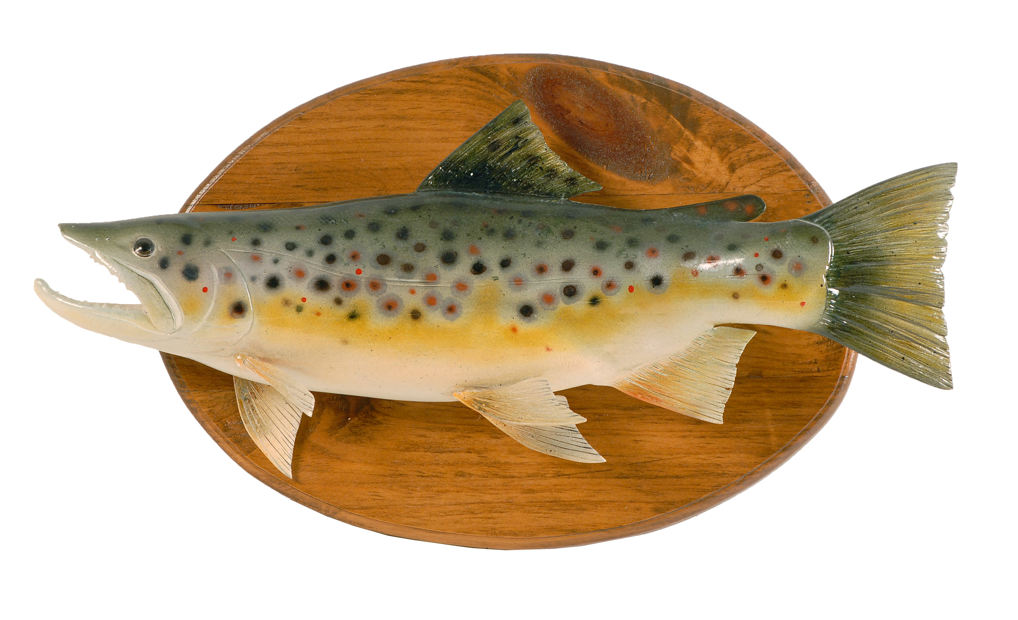 Appraisal: LIFE-SIZE CARVED AND PAINTED WOODEN BROWN TROUT By Frank J