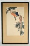 Appraisal: JAPANESE WOODBLOCK - Oban Tate-e of a Garden Pheasant on