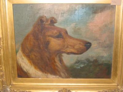 Appraisal: WILLIAM MARSDEN Portrait of a Collie Dog signed canvas laid