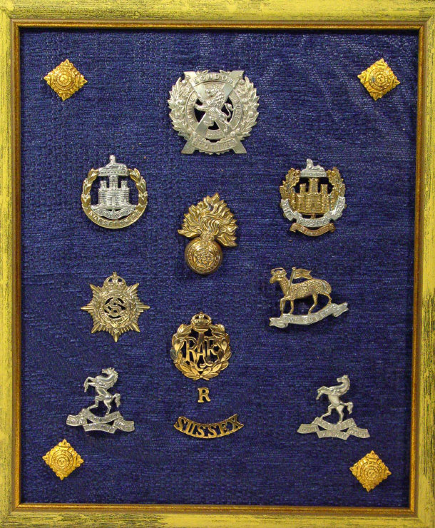 Appraisal: Group of military metal cap badges and pin badges including