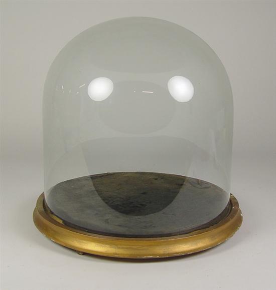 Appraisal: Large Glass Dome Glass dome on gold footed wooden base