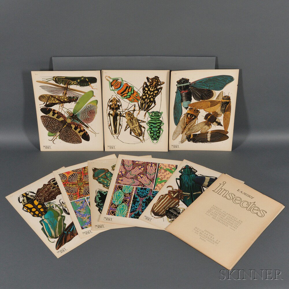 Appraisal: Emile-Allain S guy French - Insectes Portfolio of Seventeen Plates