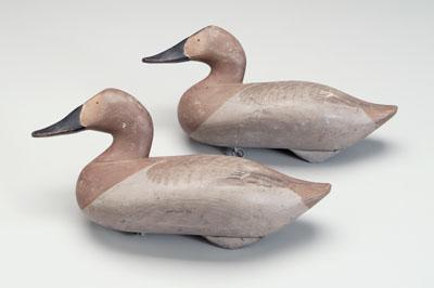 Appraisal: Two carved and painted duck decoys canvasbacks original painted surfaces