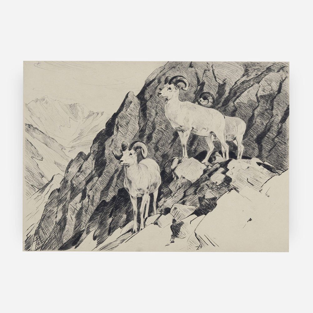 Appraisal: Carl Rungius - Dall's Sheep Lot Carl Rungius American -