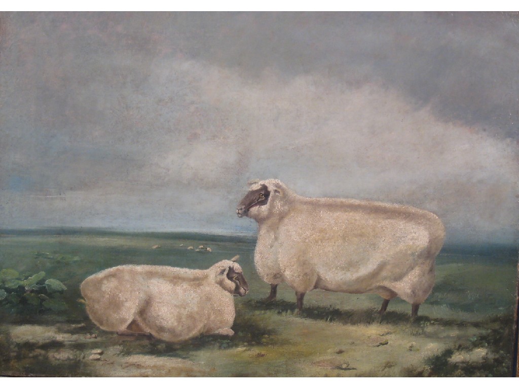 Appraisal: ENGLISH SCHOOL LATE TH CENTURY Sheep in a Meadow oil