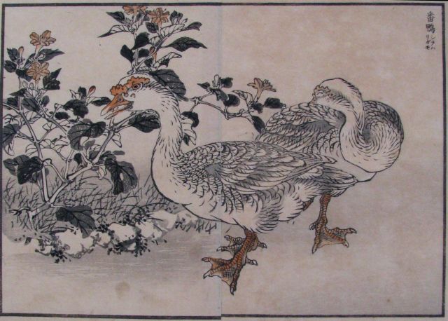 Appraisal: Kono Bairei th Century Color Woodcut x x cm x