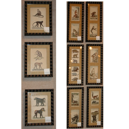 Appraisal: Artist Unknown MONKEY STUDIES h-c engravings in frames t w