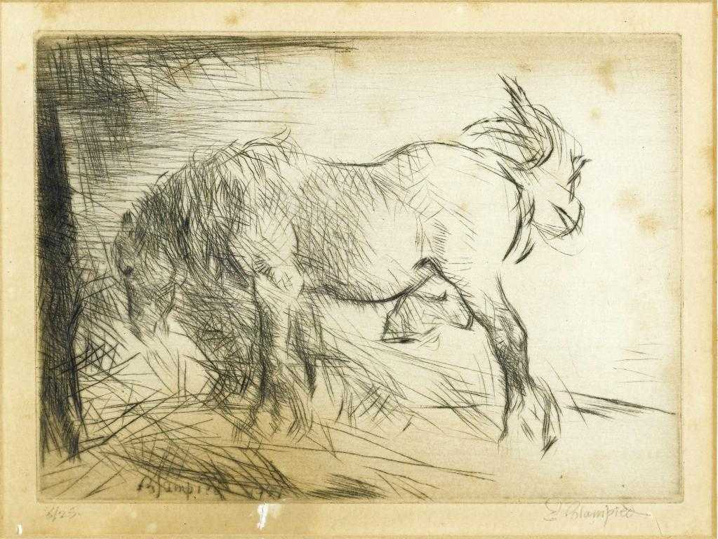 Appraisal: EDMUND BLAMPIED RBA RE - IN STABLE drypoint with margins