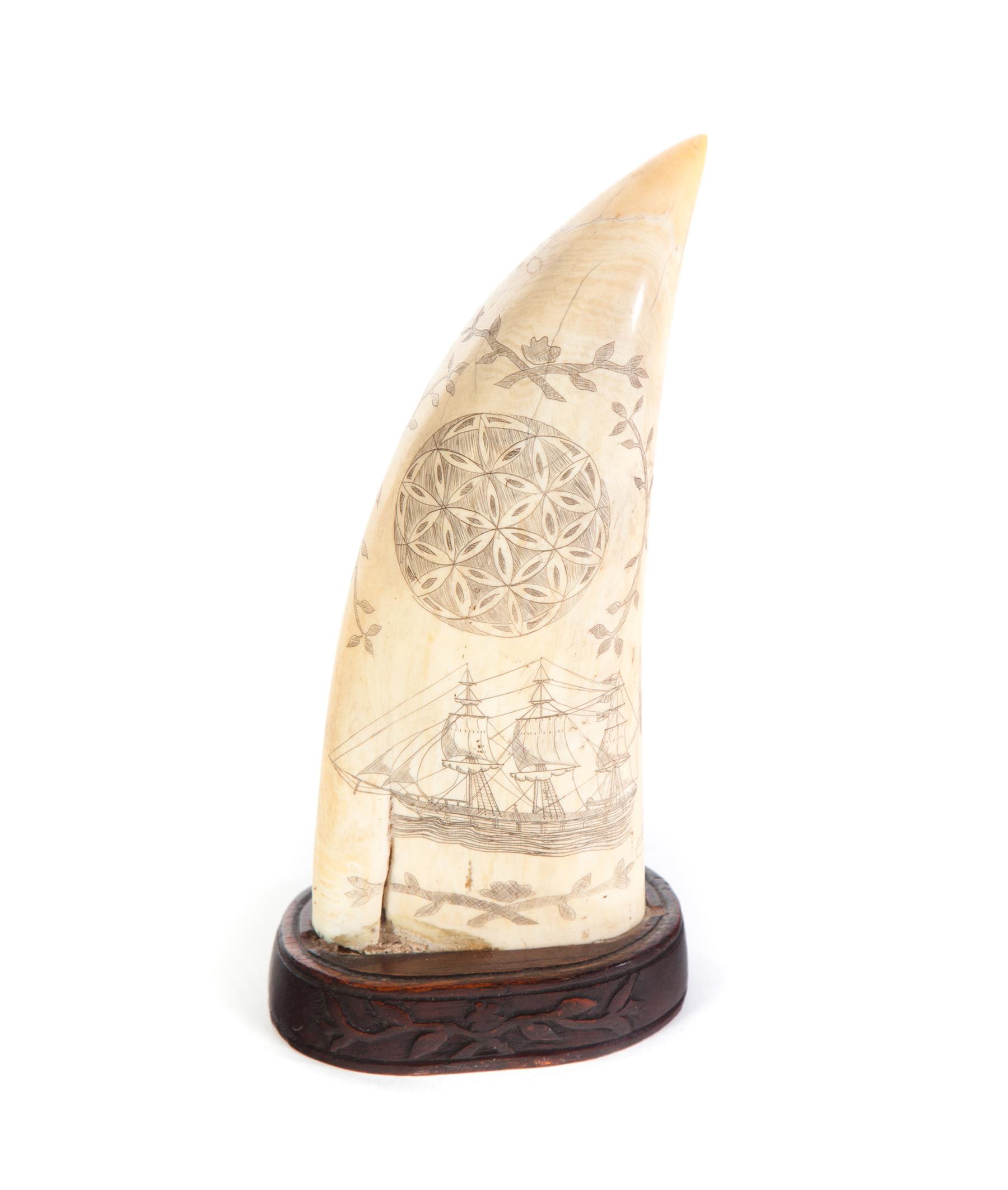 Appraisal: SCRIMSHAW WHALE TOOTH Mid th century Large whale tooth with