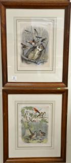 Appraisal: Ten framed colored lithographs to include five Crayon plate lithographs