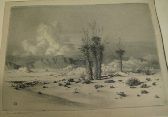 Appraisal: GEORGE ELBERT BURR Evening Arizona Etching circa x mm x