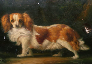 Appraisal: Late th Early st Century School- Study of a spaniel