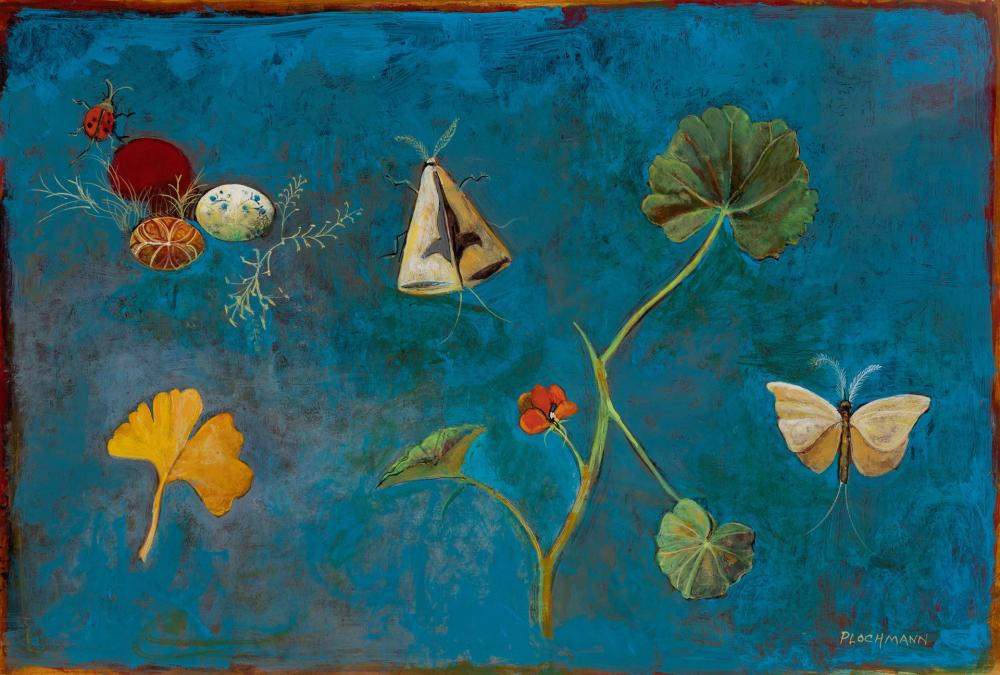 Appraisal: CAROLYN PLOCHMANN American b Two Common Moths acrylic on paper