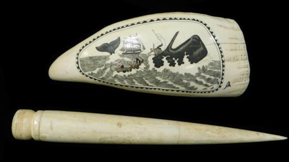 Appraisal: Scrimshaw whale's tooth and a sail maker's tool Scrimshaw whale's