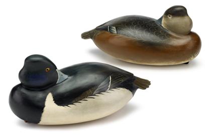 Appraisal: Pair of carved and painted ringbill decoy Sleepersrobert white b