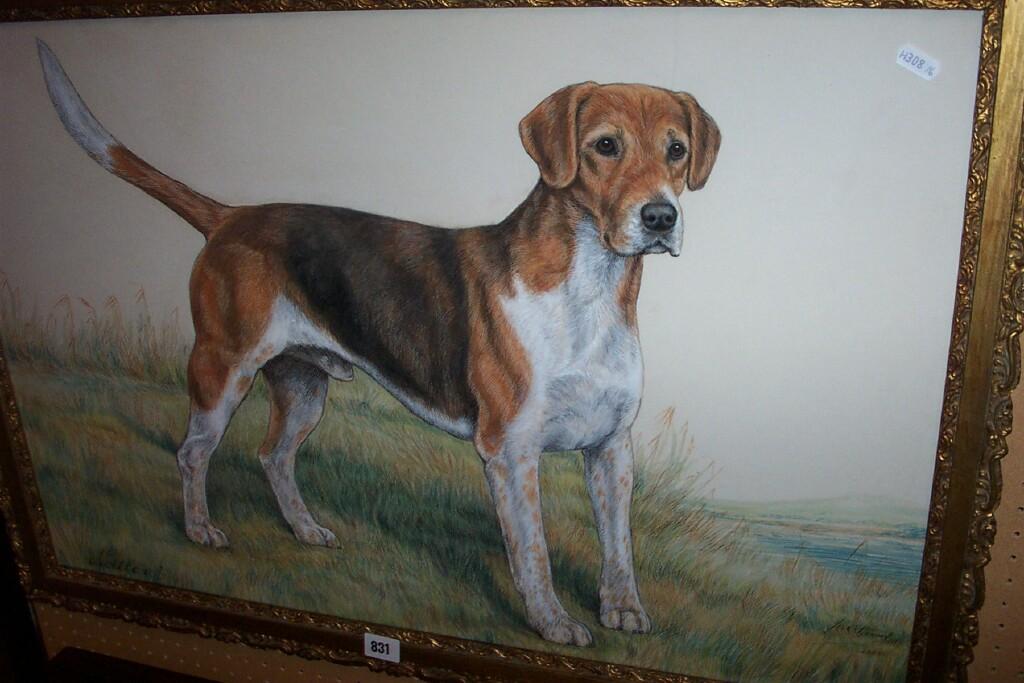 Appraisal: A pen and ink and watercolour study of a hound