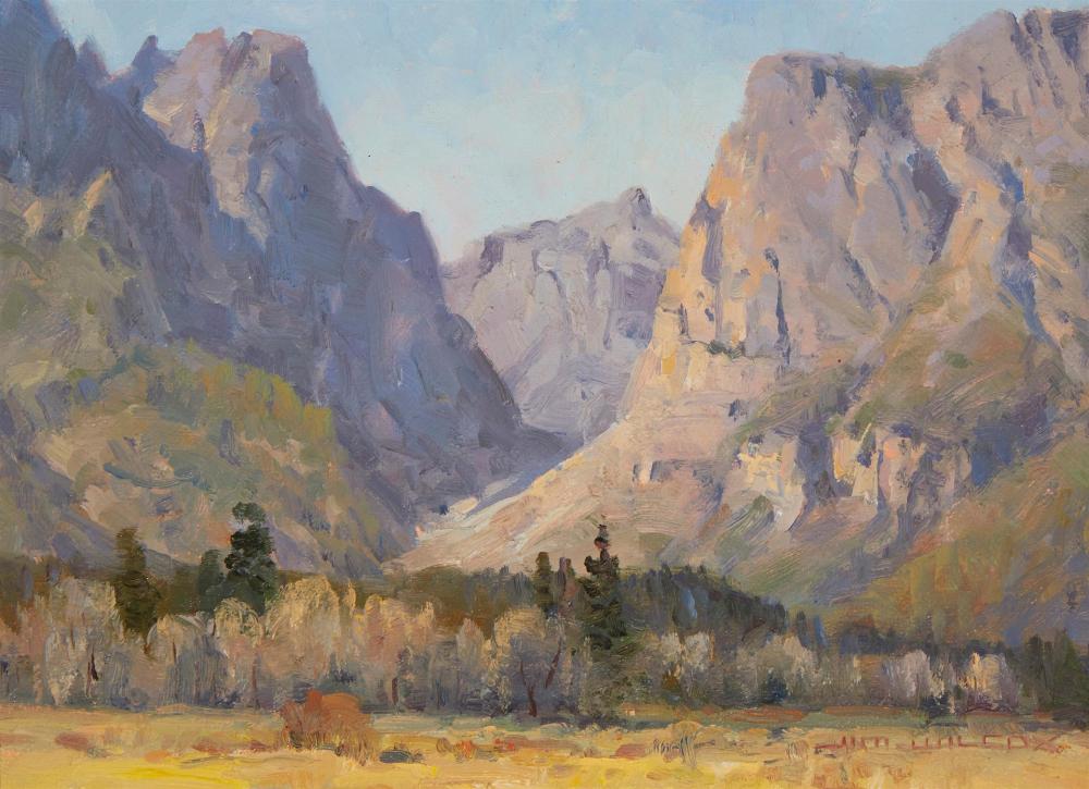 Appraisal: Jim Wilcox b Death Canyon Oil on canvas Signed lower