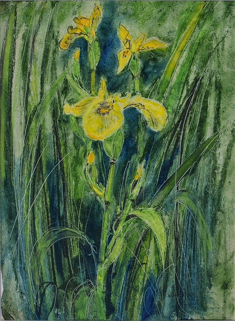 Appraisal: SELINA THORP b 'Orange Dhalia' and 'Yellow Iris' the latter