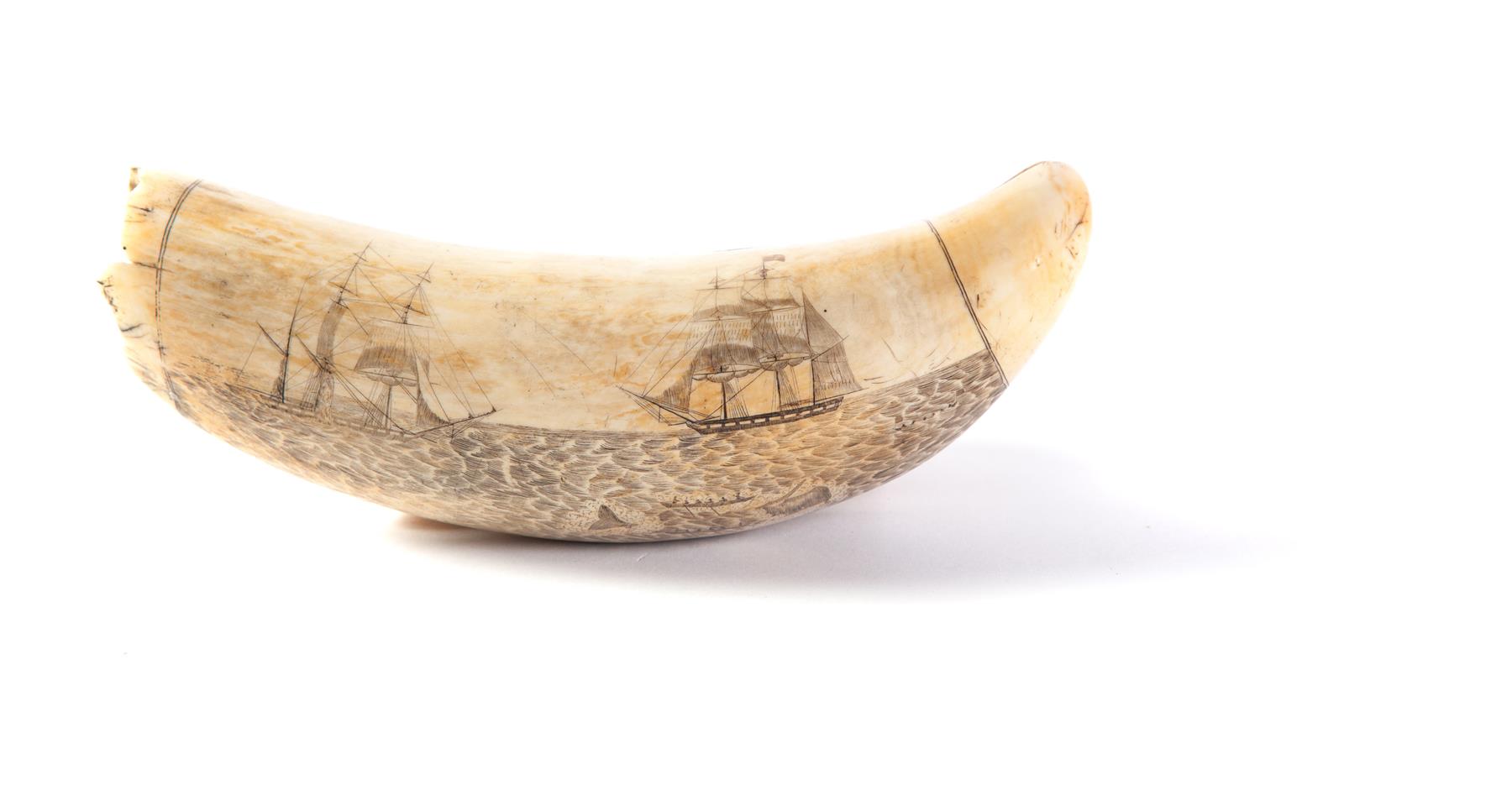 Appraisal: SIGNED SCRIMSHAW WHALE TOOTH Mid th century Rare tooth signed