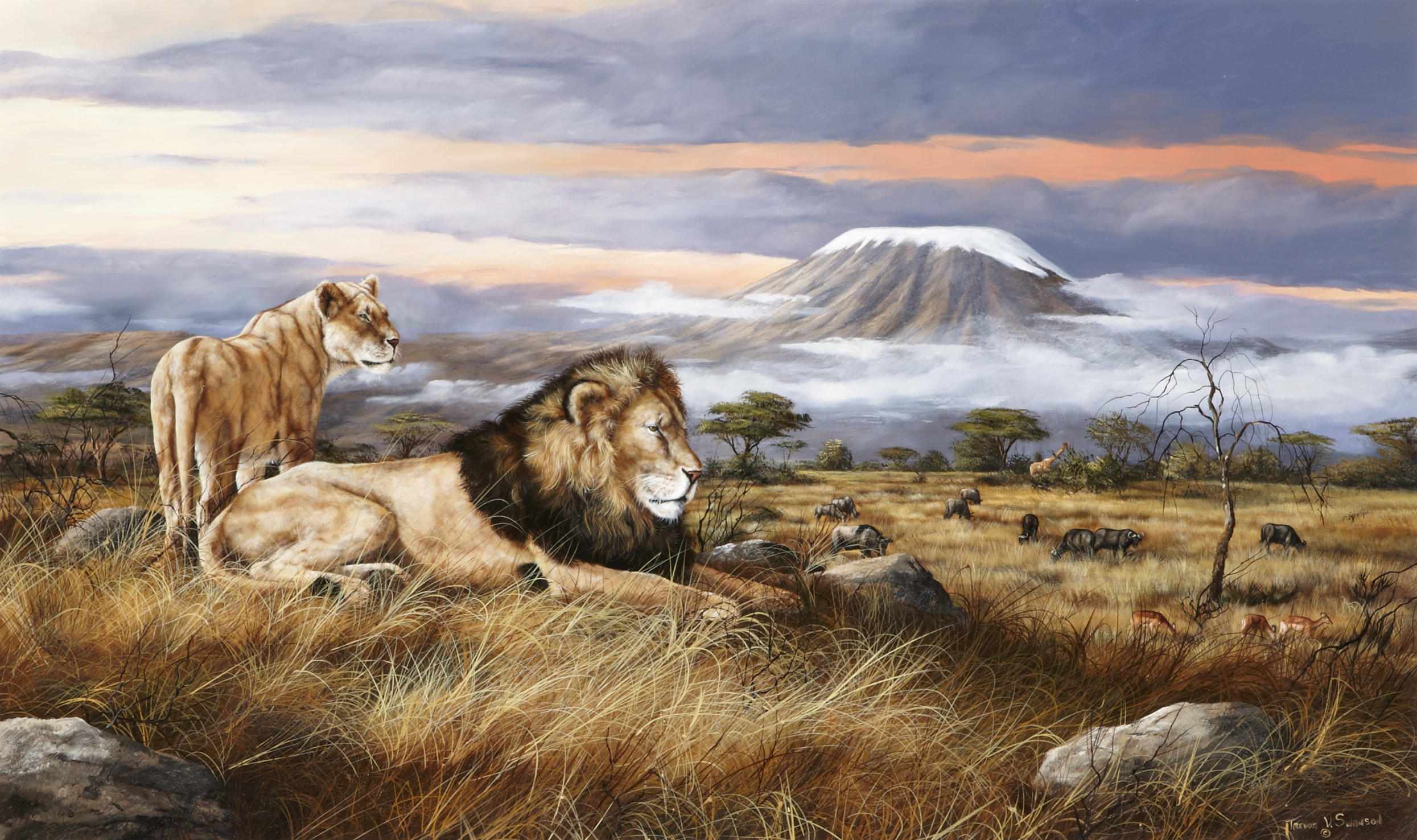 Appraisal: Trevor V Swanson American born Lions overlooking the plains singed