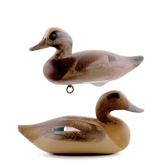 Appraisal: Pair of widgeons attributed to Madison Mitchell Havre de Grace