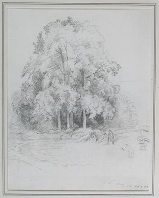 Appraisal: Cornelius Varley - A copse of trees Signed with initials