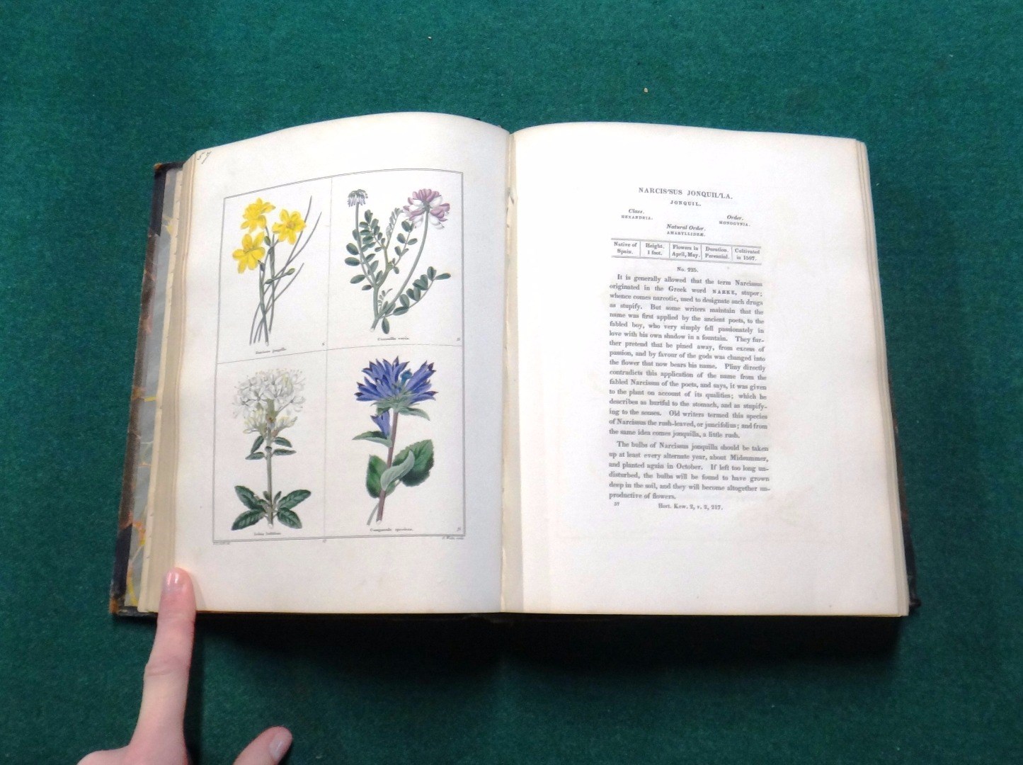 Appraisal: MAUND B The Botanic Garden vols - in hand-coloured plates